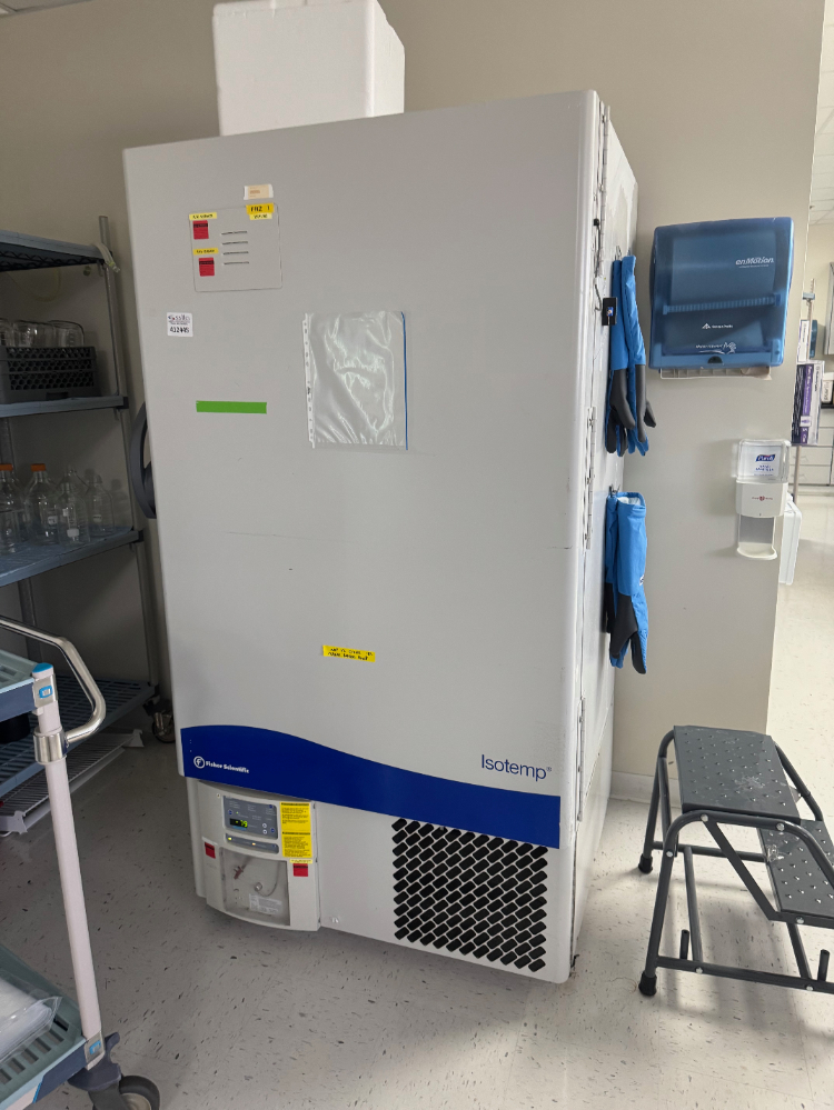 Image of Fisher Scientific Isotemp -80C Ultra Low Temp Freezer